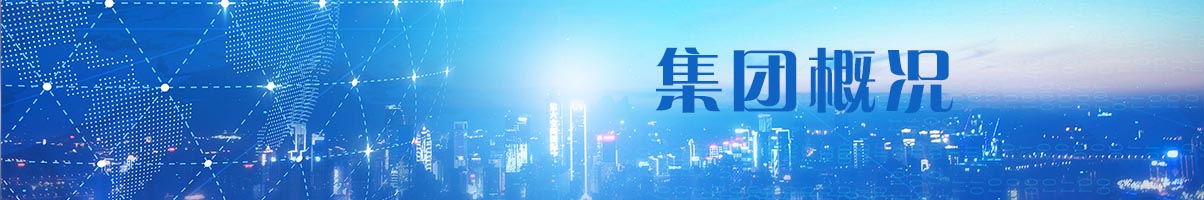 集团概况