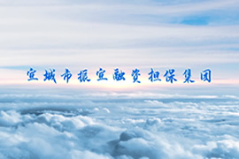 振宣集团2023年宣传片