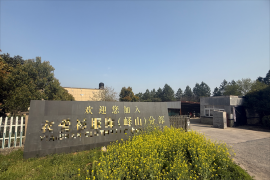 【可售】位于黄渡乡某服饰公司33亩土地及房产